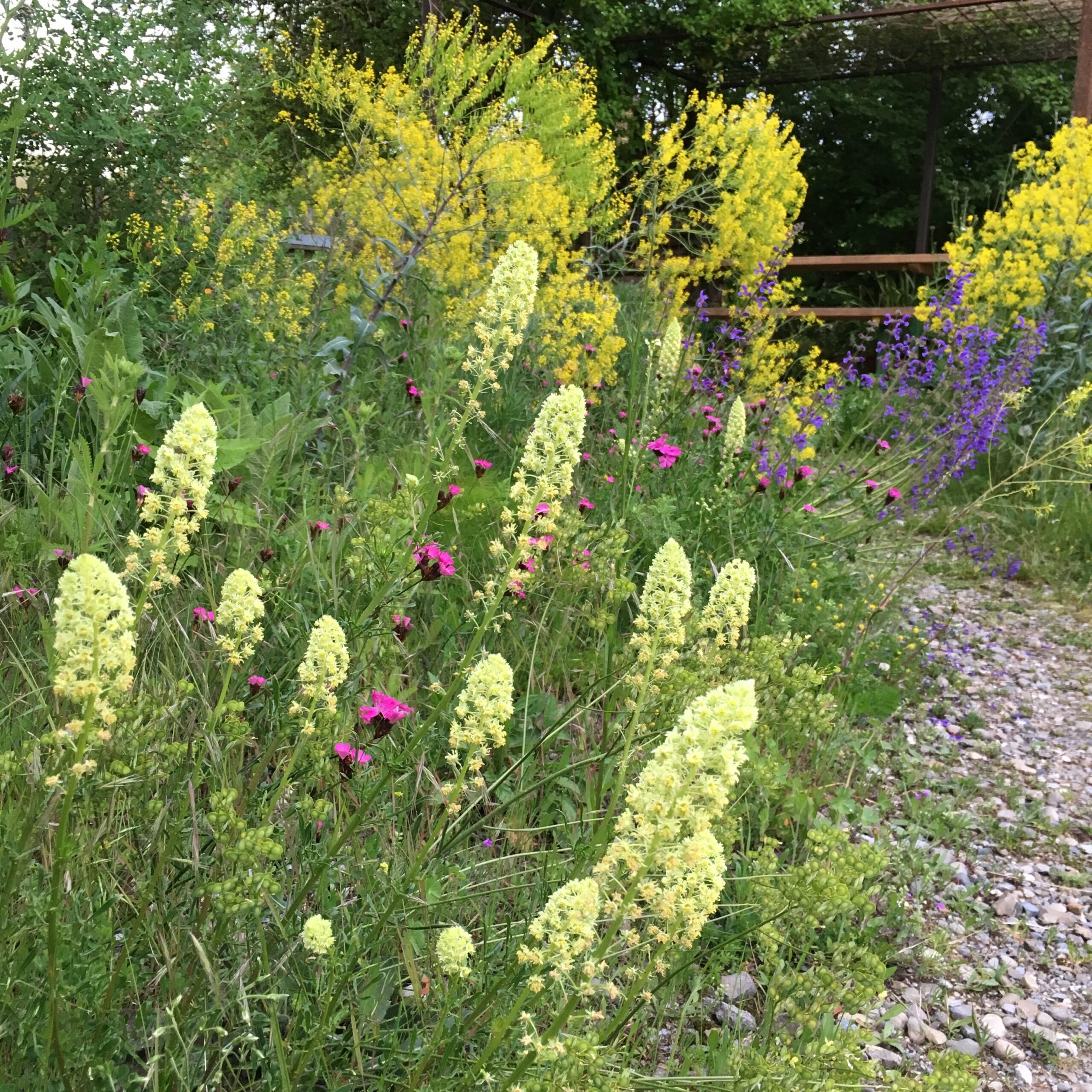 Unsere Dienstleistungen